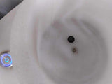 Jar holder plug (New system) *